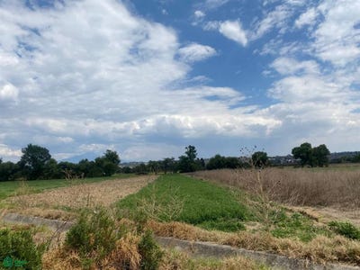 /international/mx/sc-sn-san-nicolas-panotla-panotla-tlaxcala-panotla-tlaxcala-310107019593/