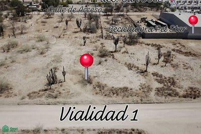 /international/mx/0-el-mezquitito-la-paz-baja-california-sur-la-paz-baja-california-sur-310108311997/