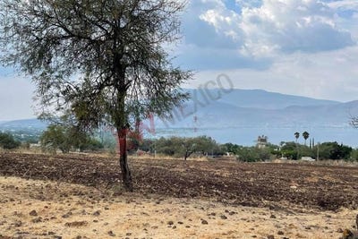 /international/mx/morelia-guadalajara-jocotepec-jalisco-310108051564/