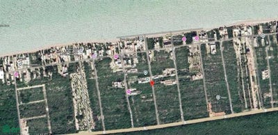 /international/mx/k24-5336-san-benito-homun-yucatan-97583-homun-yucatan-310107189075/