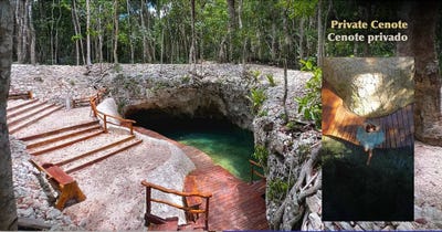 /international/mx/carretera-tulum-coba-km-4-500-mz52-lote-57-n-a-102-macario-gomez-quintana-roo-310108286068/