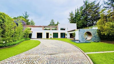 /international/mx/san-francisco-alvaro-obregon-mexico-city-310107914356/