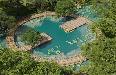 /international/mx/carretera-tulum-cancun-solidaridad-quintana-roo-310101079986/