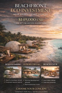 /international/mx/holbox-quintana-roo-310097799893/