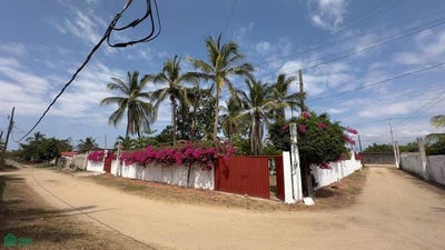 /international/mx/carretera-fuerza-aerea-mexicana-lote-07-los-mogotes-coyuca-de-benitez-guerrero-coyuca-de-benitez-guerrero-310106110226/