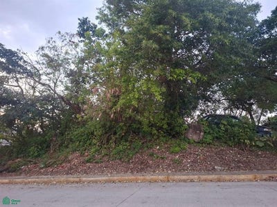 /international/mx/belisario-dominguez-sn-20-de-noviembre-coatzacoalcos-veracruz-de-ignacio-de-la-llave-coatzacoalcos-veracruz-310106519440/