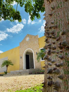 /international/mx/carr-merida-progreso-sierra-papacal-merida-municipality-yucatan-310103448456/