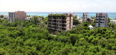 /international/mx/6-javier-rojo-gomez-puerto-morelos-quintana-roo-310101033706/