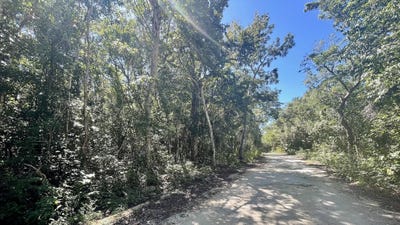 /international/mx/unnamed-road-solidaridad-quintana-roo-310100907235/