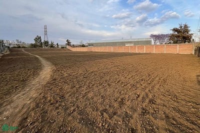/international/mx/calle-6-oriente-1015-ciudad-industrial-morelia-michoacan-de-ocampo-morelia-michoacan-310108431535/
