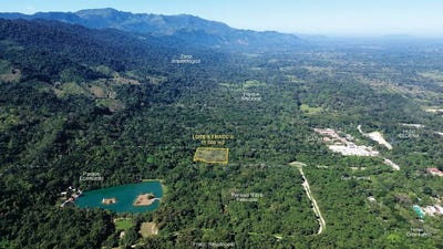 /international/mx/kilometro-4-carr-palenque-zona-arqueologica-s-n-siglo-xxi-chiapas-310108283776/