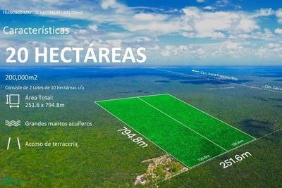 /international/mx/0-benito-juarez-quintana-roo-benito-juarez-quintana-roo-310108431529/