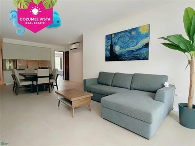 /international/mx/elementos-cozumel-quintana-roo-310108704904/