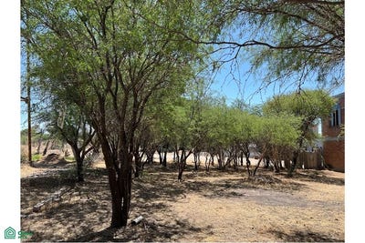 /international/mx/privada-san-jose-f-m-5-palmita-de-landeta-san-miguel-de-allende-guanajuato-san-miguel-de-allende-guanajuato-310097792623/