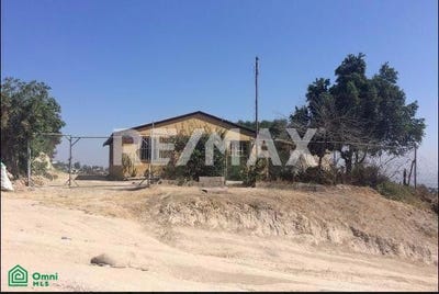 /international/mx/los-toros-14103-amparo-sanchez-tijuana-baja-california-tijuana-baja-california-310108288500/