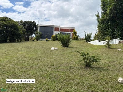 /international/mx/calle-williams-de-jesus-cordova-0-res-haras-del-bosque-secc-la-joya-amozoc-puebla-amozoc-puebla-310108855568/