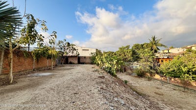 /international/mx/238-josefa-ortiz-de-dominguez-puerto-vallarta-jalisco-310107680092/
