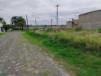 /international/mx/camino-a-las-granjas-s-n-lote-12-manz-43-s-n-cortijo-de-san-agustin-tlajomulco-de-zuniga-jalisco-tlajomulco-de-zuniga-jalisco-310101132652/?lang=zh-cn