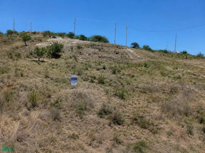 /international/mx/xalpatlaco-0-el-cerril-atlixco-puebla-74227-atlixco-puebla-310107496275/