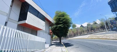 /international/mx/avenida-general-domingo-rubi-1481-guadalupe-culiacan-rosales-sinaloa-80220-sinaloa-310108661293/