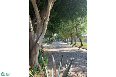 /international/mx/0-base-aerea-militar-no-5-zapopan-jalisco-zapopan-jalisco-310108310435/