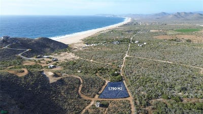 /international/mx/plutarco-elias-calles-todos-santos-baja-california-sur-310108793475/?lang=de