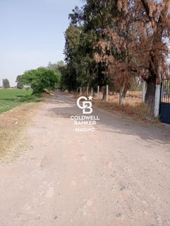 /international/mx/cayeyetano-apaseo-el-grande-guanajuato-310107914284/