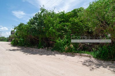 /international/mx/quintana-roo-tulum-tankah-cuatro-tankah-cuatro-quintana-roo-310101206841/?lang=zh-tw