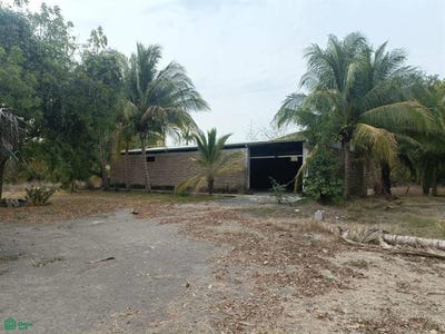 /international/mx/bodega-en-lote-9-manzana-21-s-n-los-ortices-colima-colima-colima-colima-310106631339/