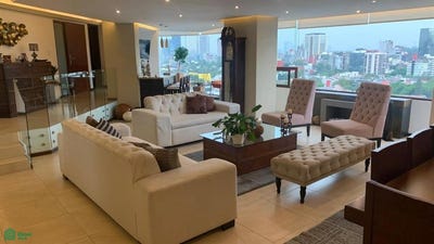/international/mx/homero-1507-los-morales-secc-alameda-miguel-hidalgo-ciudad-de-mexico-11530-miguel-hidalgo-tabasco-310100557766/?lang=zh-cn