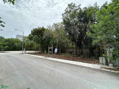/international/mx/plaza-las-americas-playa-del-carmen-mw28-hjv-playa-del-carmen-quintana-roo-ciudad-playa-del-carmen-solidaridad-riviera-maya-quintana-roo-77710-quintana-roo-310108528207/