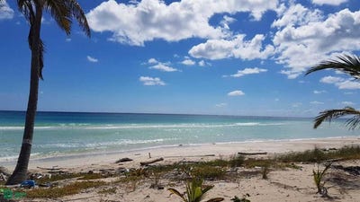 /international/mx/carretera-a-mahahual-xcalak-mahahual-othon-p-blanco-quintana-roo-othon-p-blanco-quintana-roo-310106265267/