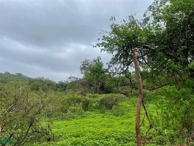 /international/mx/sobre-brecha-fraccion-b-predio-rustico-la-cantera-s-n-cajititlan-tlajomulco-de-zuniga-jalisco-tlajomulco-de-zuniga-jalisco-310100952194/?lang=zh-tw