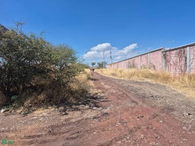 /international/mx/luis-gonzalez-obregon-circ-cron-0-san-cristobal-la-piedad-michoacan-de-ocampo-la-piedad-michoacan-310105907911/