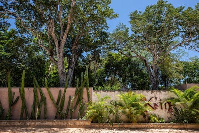 /international/mx/carretera-tulum-av-coba-km-10-tulum-quintana-roo-310108049868/
