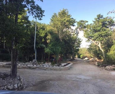 /international/mx/avenida-las-palmas-tulum-quintana-roo-310108211415/