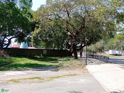 /international/mx/laguneros-industrial-torreon-12-parque-industrial-colima-colima-colima-colima-310106162124/