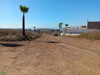 /international/mx/circuito-del-roble-s-n-mar-de-calafia-playas-de-rosarito-baja-california-playas-de-rosarito-baja-california-310093227234/