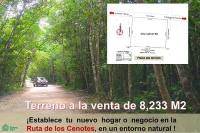 /international/mx/ruta-de-los-cenotes-calle-faisan-puerto-morelos-puerto-morelos-quintana-roo-puerto-morelos-quintana-roo-310101223016/?lang=en