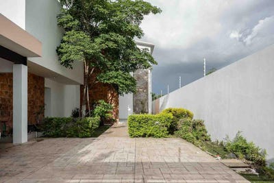 /international/mx/dzitya-dzitya-yucatan-310103041169/