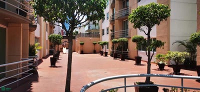 /international/mx/viaducto-rio-becerra-165b-napoles-benito-juarez-ciudad-de-mexico-benito-juarez-veracruz-310108887068/