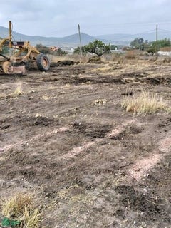 /international/mx/negro-sn-praderas-del-potrero-atotonilco-de-tula-hidalgo-atotonilco-de-tula-hidalgo-310106521306/