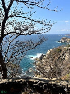 /international/mx/camino-al-faro-89-el-faro-san-pedro-pochutla-oaxaca-san-pedro-pochutla-oaxaca-310106385321/