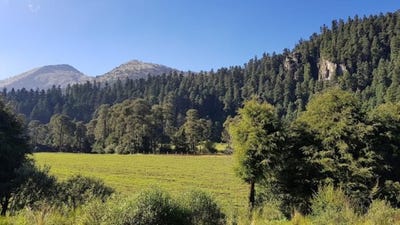 /international/mx/carretera-a-xalatlaco-tlalpan-mexico-city-310107914205/