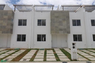 /international/mx/albahaca-7-cuautlancingo-cuautlancingo-puebla-cuautlancingo-puebla-310103767558/