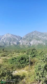 /international/mx/s-n-0-fraile-i-garcia-nuevo-leon-garcia-nuevo-leon-310101207055/?lang=zh-tw
