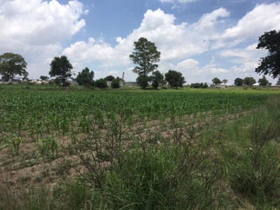 /international/mx/carretera-mexico-veracruz-cuapiaxtla-tlaxcala-310104460148/