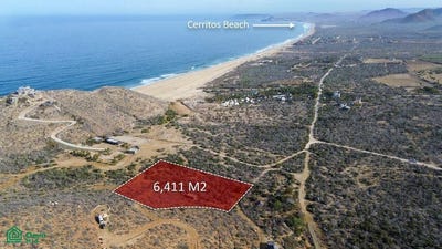 /international/mx/experience-cerritos-todos-santos-baja-california-sur-310105807418/