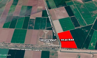 /international/mx/carretera-mochicahui-campo-35-esquina-con-canal-lateral-18-mochicahui-el-fuerte-sinaloa-el-fuerte-sinaloa-310105721138/