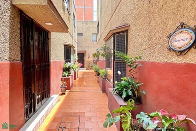/international/mx/avenida-amores-1104-del-valle-centro-benito-juarez-ciudad-de-mexico-benito-juarez-veracruz-310108311421/